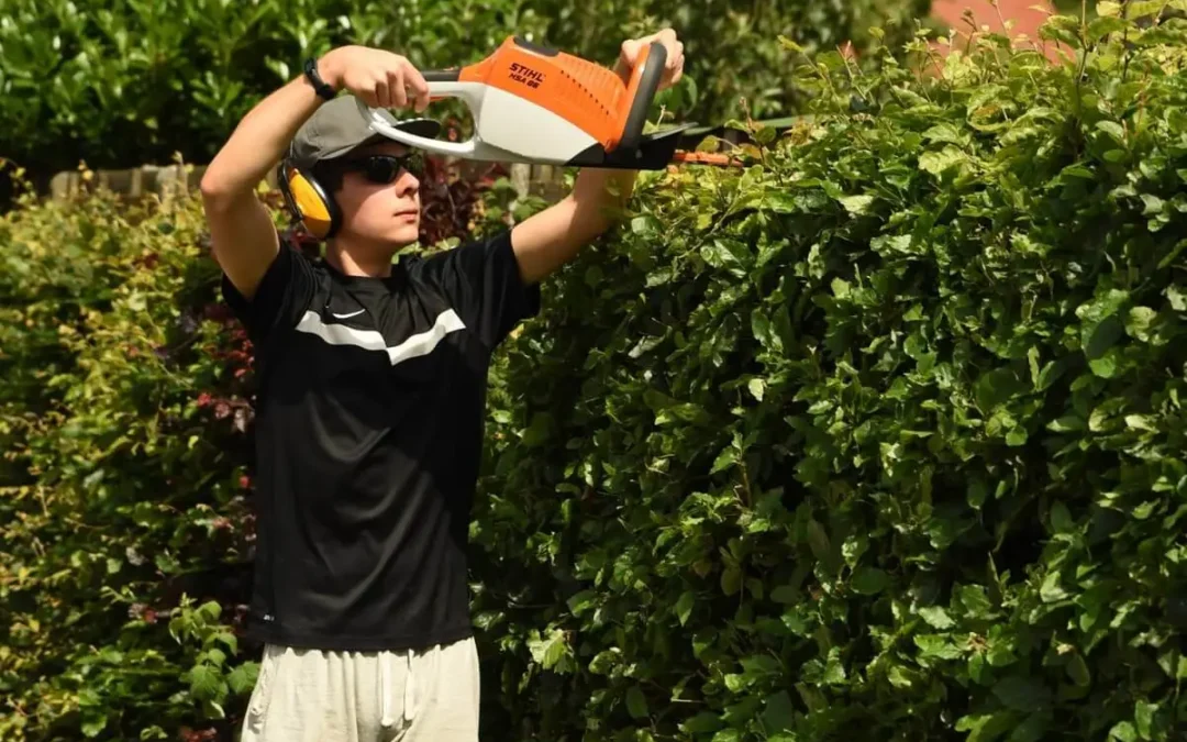 Beste heggenschaar van 2025