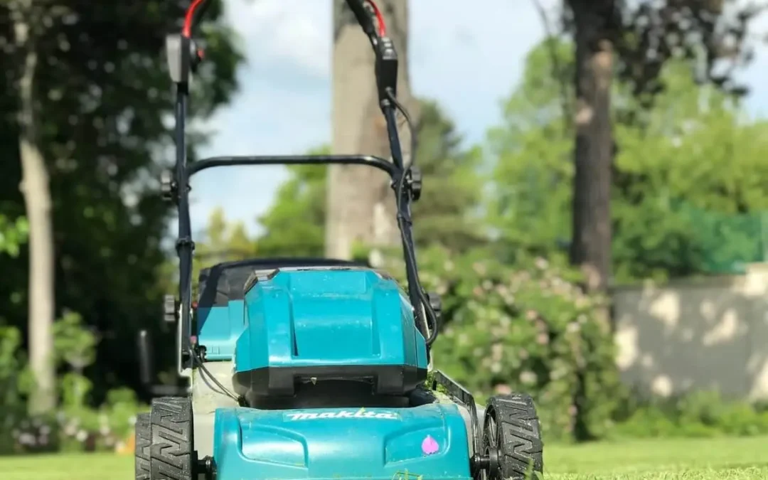 Beste grasmaaier van 2025