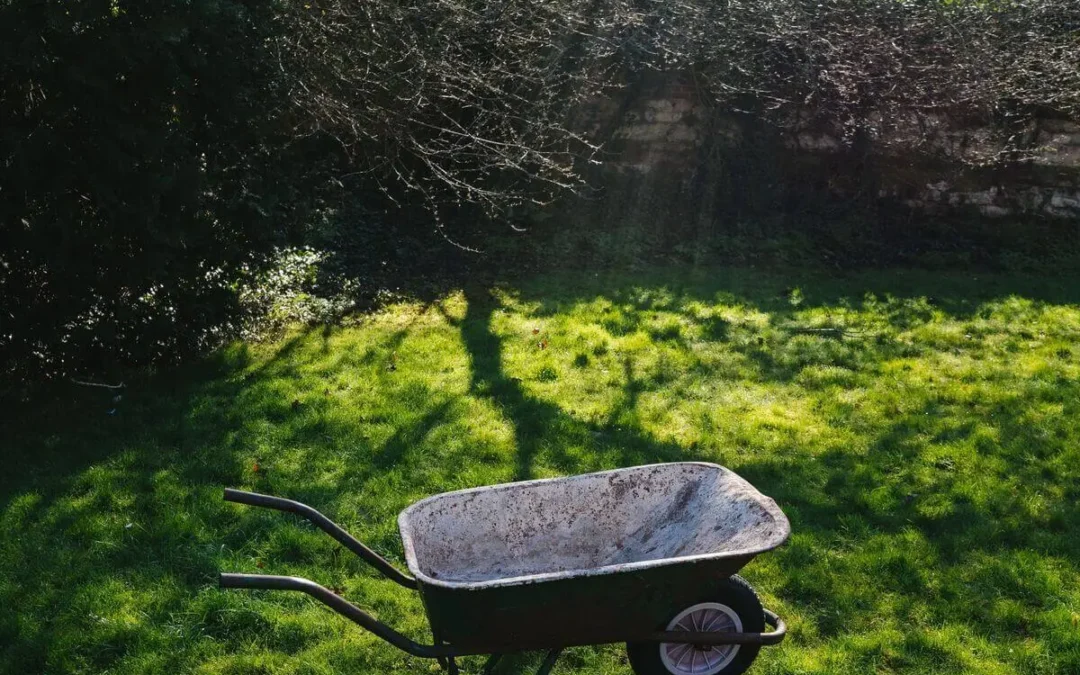 Beste kruiwagen van 2025